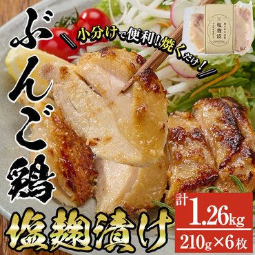 大分県産 ぶんご鶏の自家製塩麴漬け(計1.26kg・210g×6枚)国産 鶏肉 ステーキ タンパク質 簡単 調理 冷凍 大分県 佐伯市【AN109】【ぶんご銘醸 (株)】