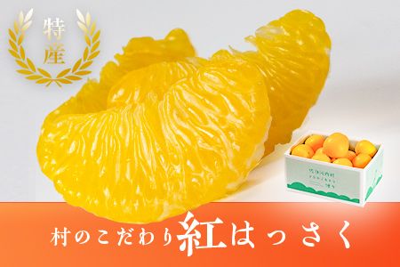 y߉͓zyCFzĥh@g͂@2026N1甭@s ---sanagouchi_ymh_1_7kg---