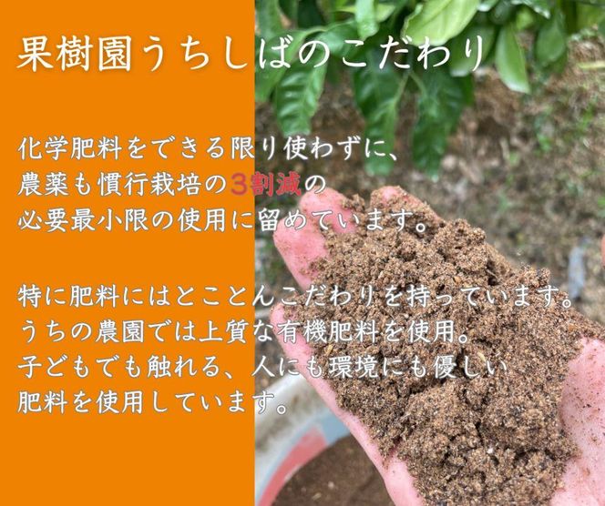 和歌山県産 濃厚な甘さ 有田みかん 5kg 農家直送  DX005