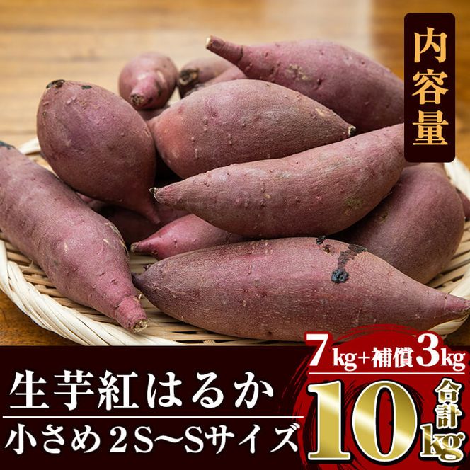 a732 《訳あり》畑の金貨・生芋紅はるか7kgと補償3kg 合計10kg(小さ目サイズ)【甘いも販売所】姶良市 芋 いも さつまいも 紅はるか べにはるか 熟成 規格外