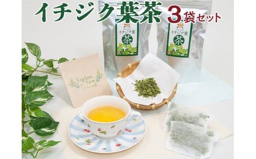 イチジク葉茶３袋セット ※離島への配送不可 ※2024年7月上旬～2025年3月下旬頃に順次発送予定