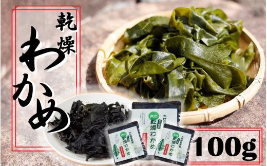 ミネラル豊富な海の野菜！乾燥わかめ100g（18g×4P・7g×4P）_2218R