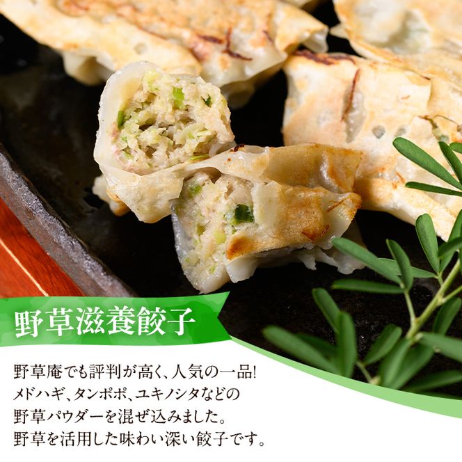 isa426 野草滋養餃子「母の手」(計45個・15個×3P)【やさしいまち】