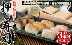 鹿児島県産タカエビ、カンパチ、サバ使用！おうちで本格押し寿司キット(計約3本分)スシ おすし 魚介 急速冷凍 ミールキット【さるがく水産】a-24-27-z