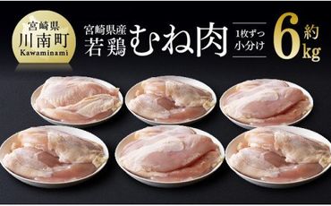 宮崎県産若鶏むね肉 小分けで約6kg 肉 鶏 鶏肉 [F7804]