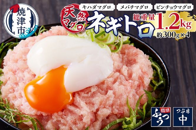 yÉĒÎsza10-912@VR܂ lMg 1.2kg