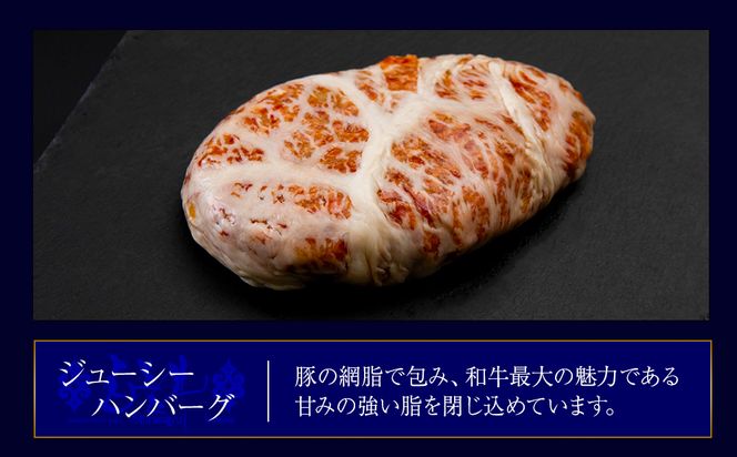 白老牛 2種 食べ比べ ハンバーグ セット 合計20個 モッツァレラ ベーコン 網脂 特製ソース 手造り BY084