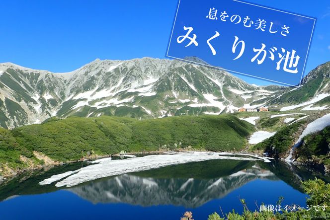 ショッピング 立山黒部アルペンルート片道券2枚 - 優待券/割引券