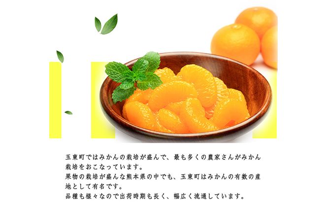  みかん 先行予約 旬【日付指定不可】 ご家庭用 訳あり 『坂田農園』 ご家庭 用 みかん 約 5kg (2S-2Lサイズ) 熊本 予約 受付中 フルーツ 秋 旬 玉東 町 濃厚 食味 ジューシー 果汁 熊本県玉東町《10月上旬-1月末頃出荷》---gkt_skt_5_5kg---