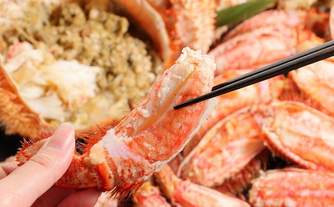 特大サイズ！冷凍毛がに約800g×1尾【斉藤水産】 AM147