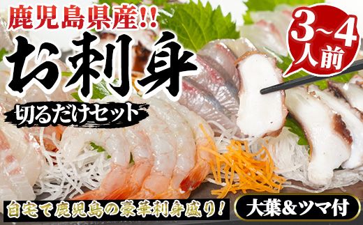 鹿児島県産!お刺身切るだけセット(3人〜4人前)国産 刺し身盛 魚貝 魚介 海産物 刺身 蛸 たこ 海老 エビ かんぱち タイ 簡単調理 おつまみ セット 小分け 個包装[さるがく水産]akn028-05