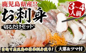 鹿児島県産！お刺身切るだけセット(3人～4人前)国産 刺し身盛 魚貝 魚介 海産物 刺身 蛸 たこ 海老 エビ かんぱち タイ 簡単調理 おつまみ セット 小分け 個包装【さるがく水産】akn028-05