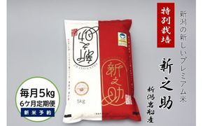 【新米受付・令和7年産米】【6ヶ月定期便】食味鑑定士板垣謹製 新潟県 岩船産 特別栽培 新之助 5kg×6ヶ月 1039032N ｜ 連続 毎月 お届け 新耕農産 一等米 プレミアム米 農家直送 低温倉庫保管