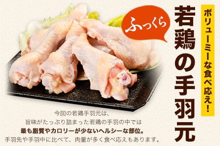 熊本県産 若鶏手羽元 約4kg 2kg×2P 《30日以内に順次出荷(土日祝除く)》---fn_ftoriteba_30d_23_10000_4kg---