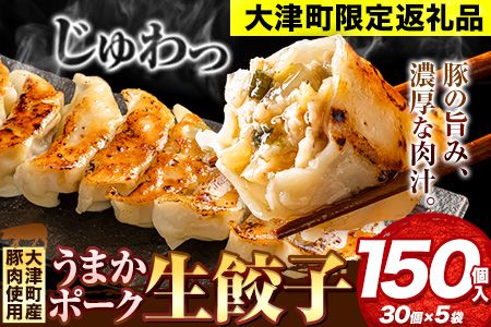 餃子 うまかポーク生餃子 150個(30個×5袋) 大津町限定返礼品[7-14営業日以内に出荷予定(土日祝除く)]冷凍餃子 ギョウザ 大津町産豚肉使用 九州産キャベツ使用(大津町産含む)皮モチモチ 肉汁溢れる---fn_fozupgz_wx_23_15000_150p---