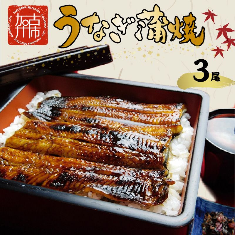 鰻の蒲焼き3尾(6パック)たれ別・挽きたて粉山椒付[2403D05601]