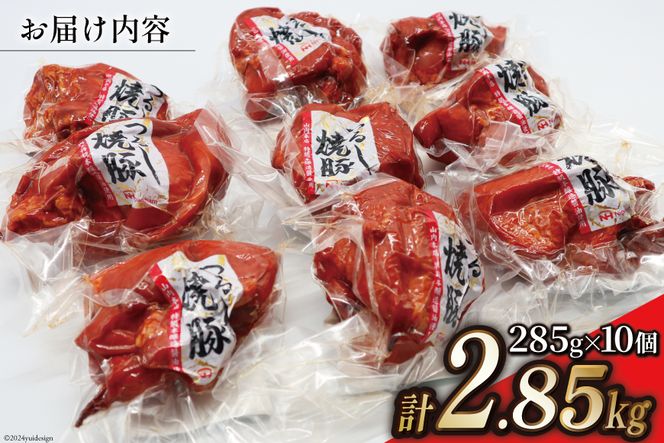 焼豚 つるし焼豚 285g×10個 計2.85kg [日本ハムマーケティング 宮崎県 日向市 452060508]豚 豚肉 焼き豚 日本ハム 真空 冷蔵