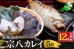 【定期便】北海道 産 一夜干し 宗八 カレイ 5枚 × 12ヵ月 【全 12回 】 