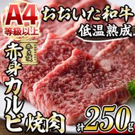 おおいた和牛 赤身カルビ焼肉 (250g) 国産 牛肉 肉 霜降り 低温熟成 A4 和牛 ブランド牛 カルビ 焼肉 BBQ 冷凍 大分県 佐伯市【DH200】【(株)ネクサ】