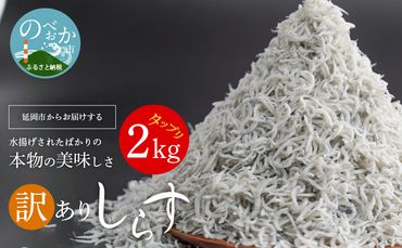 訳あり しらす 宮崎産 ドドーン と 2kg 入り　N065-ZA2220