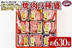 ＜宮崎牛焼肉9種盛（約630g）＞翌月末迄に順次出荷【b0479_em】
