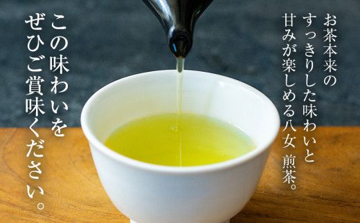 八女茶 煎茶ペットボトル 500ml×24本