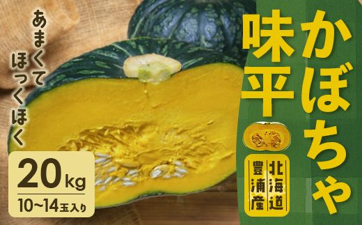 北海道 豊浦産 かぼちゃ 味平 20kg 10～14玉入り TYUH005