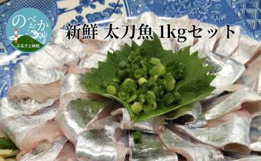 新鮮 太刀魚 約1kgセット　N072-A0110