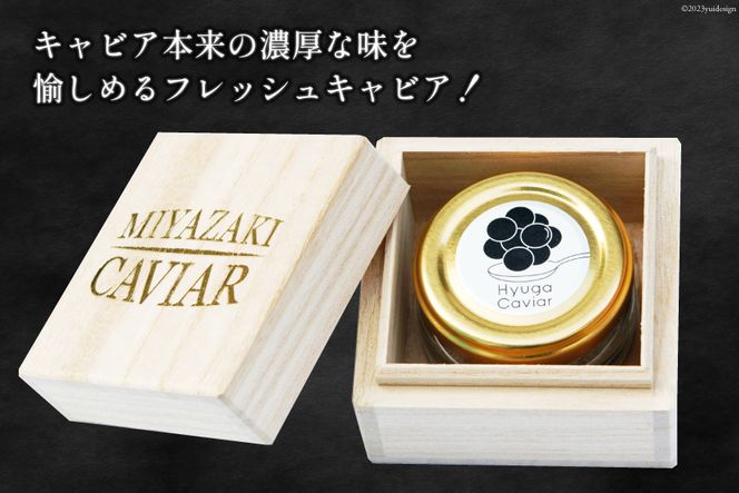 キャビア 日向キャビア (Hyuga Caviar) 20g 桐箱入り  [ウィズ・クリエイティブ  宮崎県 日向市 452060324] 冷凍 宮崎 国産 チョウザメ フレッシュ