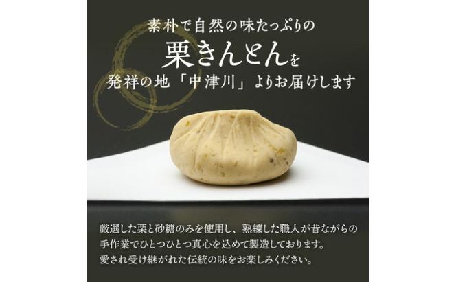 中津川銘菓：栗きんとん12個（6個入×2箱）[秋季限定] 栗 くり くりきんとん 和菓子 菓子 スイーツ 秋 限定 冷蔵 岐阜県 F4N-1018