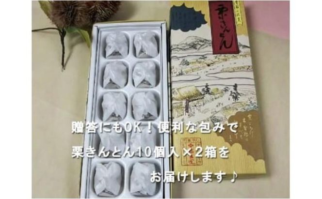 人気商品!! 中津川銘菓：栗きんとん20個（10個入×2箱）[秋季限定] 栗 くり くりきんとん 和菓子 菓子 スイーツ 秋 限定 冷蔵 岐阜県 F4N-1027