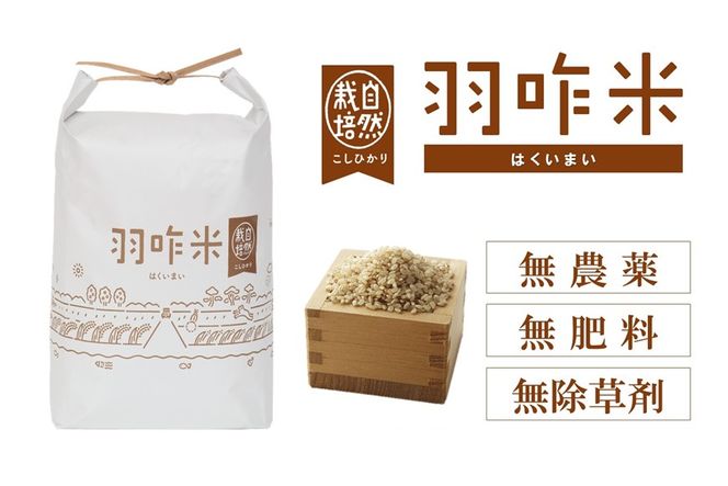 [F016] 自然栽培こしひかり100%使用「唐戸山」２本セット