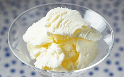 【無添加】北海道 フローズンヨーグルト 10個【1111301】