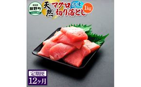 ～四国一小さなまち～ 天然マグロ切り落とし 1kg 12ヶ月定期便 まぐろ 鮪 スライス 刺身 刺し身 さしみ 魚 魚介 海鮮 海鮮丼 寿司 海の幸 おかず おつまみ 惣菜 簡単 時短 おいしい<br>