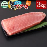 ～四国一小さなまち～ 訳あり 天然まぐろ 3kg 3キロ マグロ 鮪 赤身 刺身 刺し身 さしみ 魚 魚介 海鮮 海鮮丼 寿司 海の幸 おかず おつまみ 惣菜 おいしい キハダ メバチ<br>