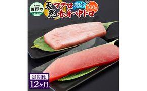 ～四国一小さなまち～ 天然マグロ（赤身・中トロ 各500g）12ヶ月定期便 まぐろ 鮪 中とろ 刺身 刺し身 さしみ 魚 魚介 海鮮 海鮮丼 寿司 海の幸 おかず おつまみ 惣菜 おいしい