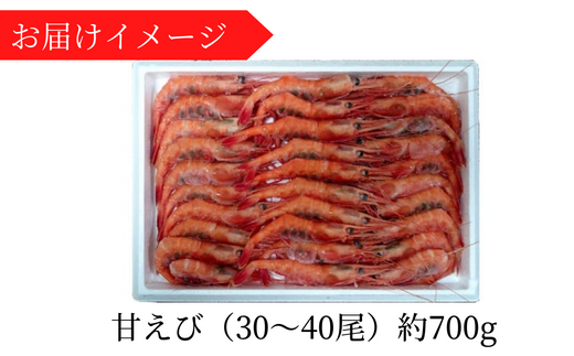 【甘えび 刺身用 (30～40尾) 約700g 兵庫県香住産 冷凍 】※発送目安：入金確認後、順次発送 日本海で水揚げされた鮮度抜群の甘えびを水揚げ後、すぐに船内で急速冷凍した商品です。鮮度抜群 漁師が食べている新鮮な旨みをたっぷり味わってください。大人気 ふるさと納税 送料無料 香美町 香住 柴山 刺身 唐揚げ 味噌汁 海鮮丼 エビ 宿院商店 33-04