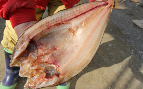 ykCCԒzD㊈ ق̊J 3 440gȏ SRMN023