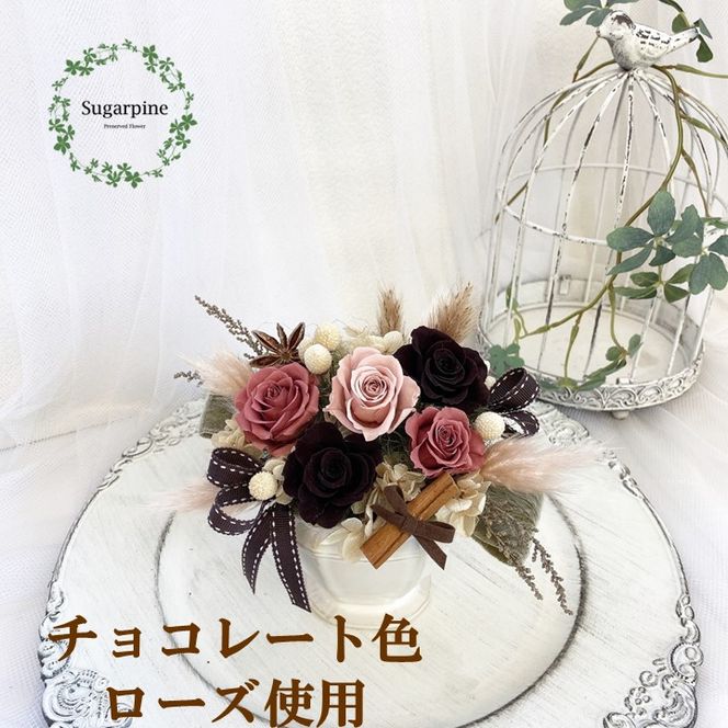 yʌtszAJ049-1 vU[uht[AWyufB[zts VK[pC