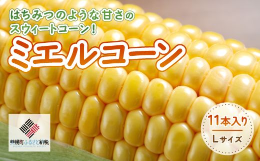 [先行受付]2026年産 スウィートコーン!「はちみつのような甘さのミエルコーン」11本【配送不可地域：離島】  BHRG004