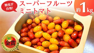 【 先行予約 】 スーパーフルーツ ミニトマト 約1kg 野菜 フルーツトマト フルーツ トマト とまと [AF096ci]