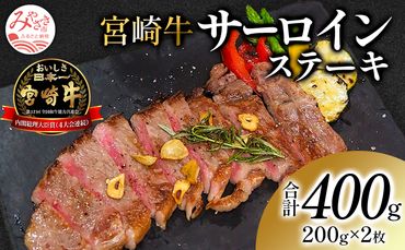 宮崎牛 サーロインステーキ 2枚セット_M180-016
