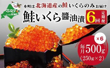 【 年6回 いくら 定期便 毎月 定期 】北海道 産 鮭 イクラ 500g ( 250g × 2パック ) 6回 産直 計 3kg　be013-108b040