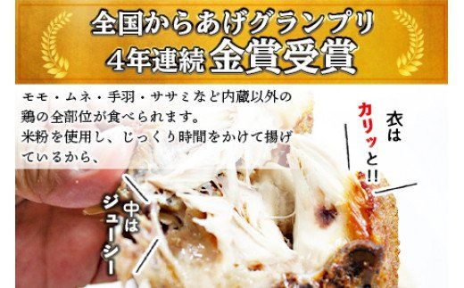 ＜半身からあげ（スパイス味）3本セット＞準備でき次第翌々月までに順次発送【a0306_hi】