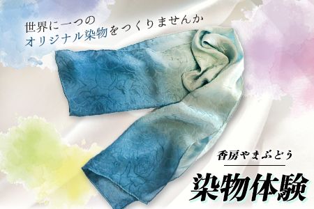 染物体験 香房やまぶどう[30日以内に出荷予定(土日祝除く)]熊本県 南阿蘇 体験 染物---isms_yamasome_30d_r7_9500_1i---