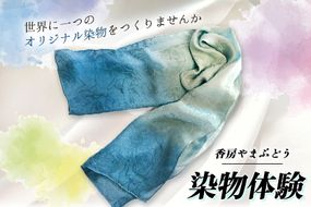 染物体験 香房やまぶどう《30日以内に出荷予定(土日祝除く)》熊本県 南阿蘇 体験 染物---isms_yamasome_30d_r7_9500_1i---