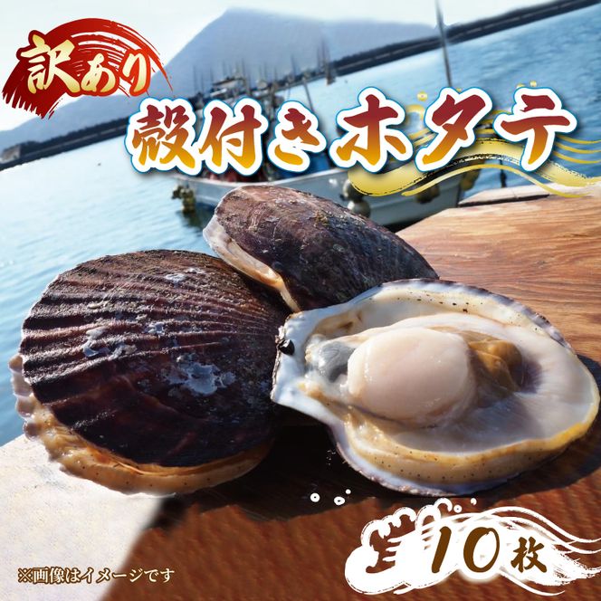 y茧Dnsz󂠂 kt z^e 10 ق  CN L    o[xL[ BBQ t tĂ o^[Ă o` [  ܂ ӎ CY  Dn O 茧 Y [nakano006]