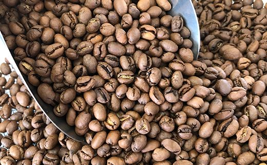 【粉】サントスピーベリー1kg 自家焙煎コーヒー豆専門店とみかわ 富山 魚津 ※北海道・沖縄・離島への配送不可