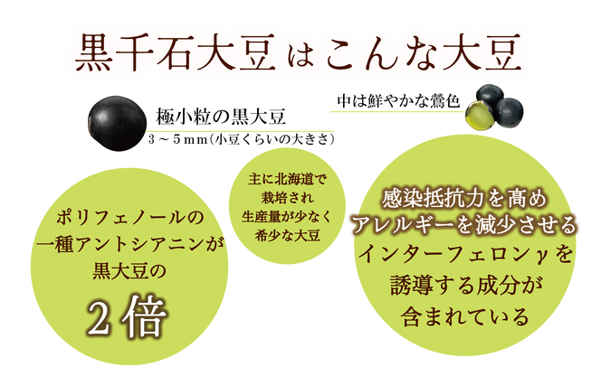 ＜豆ごはんの素　1袋＞北海道 道産 乙部町 乙部町産 大豆 国産 国産大豆 黒千石大豆 黒千石 原種 アントシアニン ポリフェノール 簡単 豆ごはん 小分け包装