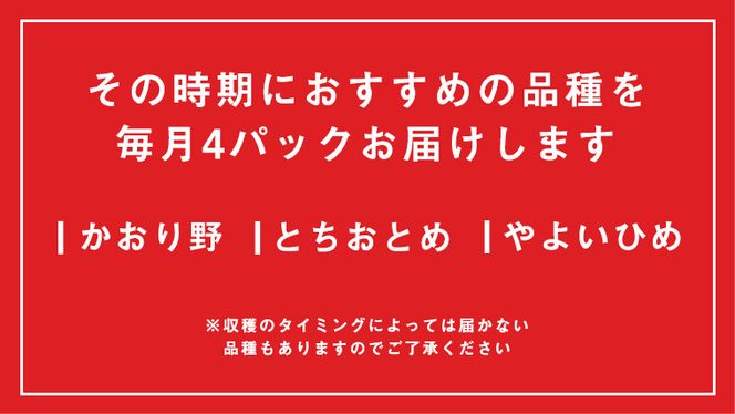 【 2ヶ月 定期便 】完熟 いちご 4パック ( 大粒 ) 先行予約 大粒 イチゴ 苺 フルーツ 果物 かおり野 とちおとめ やよいひめ [AF100ci]